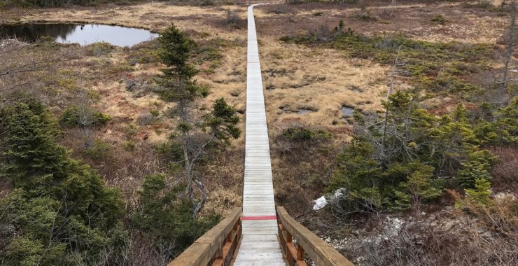 Exploring Newfoundland